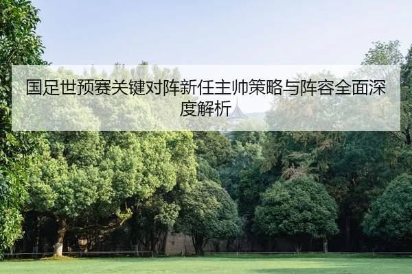 国足世预赛关键对阵新任主帅策略与阵容全面深度解析 | B SPORTS